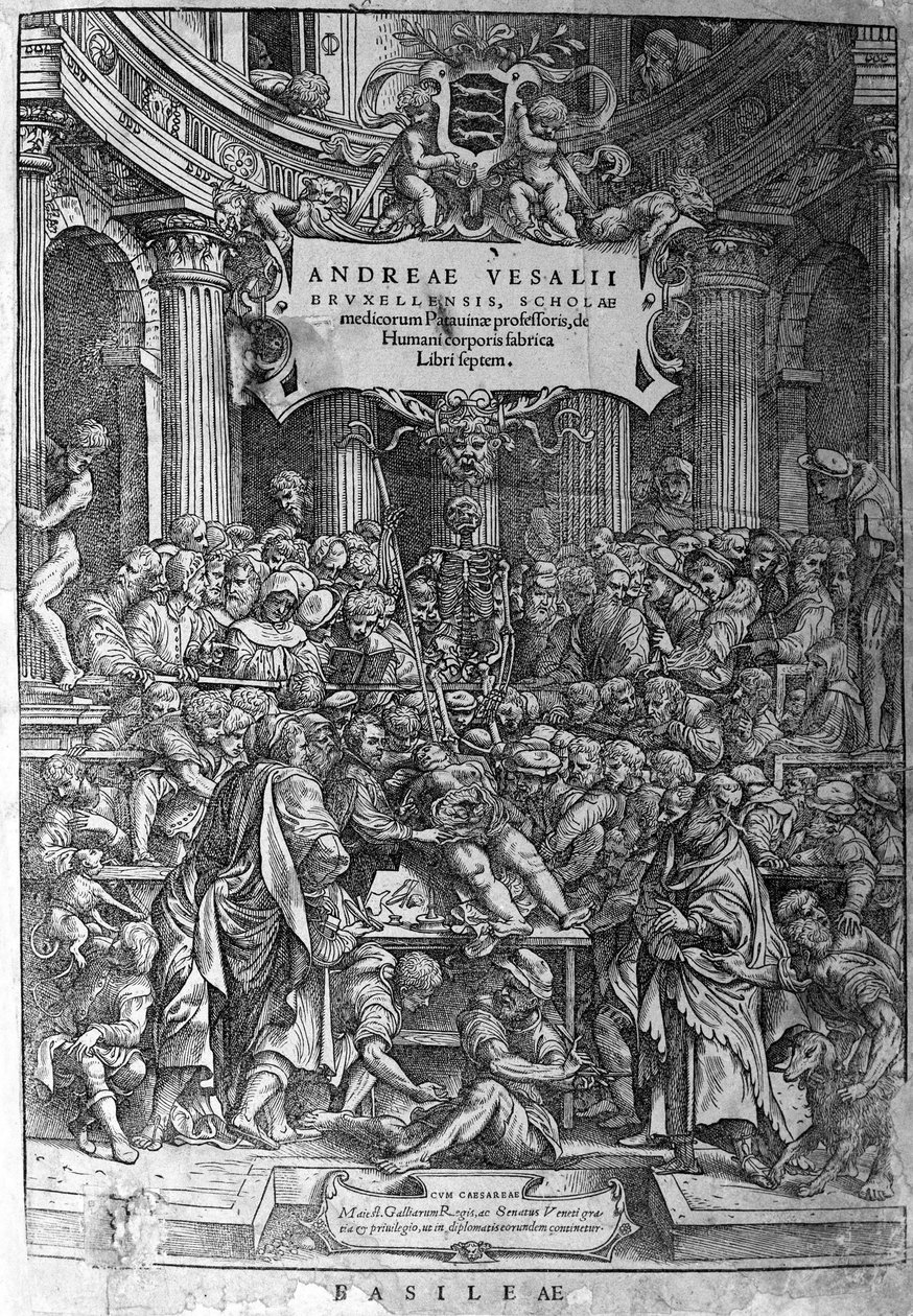 Anatómiai szoba. André Vésale (1514-1564), holland anatómus (latinul: Andrea Vesalius, hollandul: Andries Van Wesel) „Humani corporis fabrica libri septem 1543” című művének előlapja. alkotó: Unknown artist