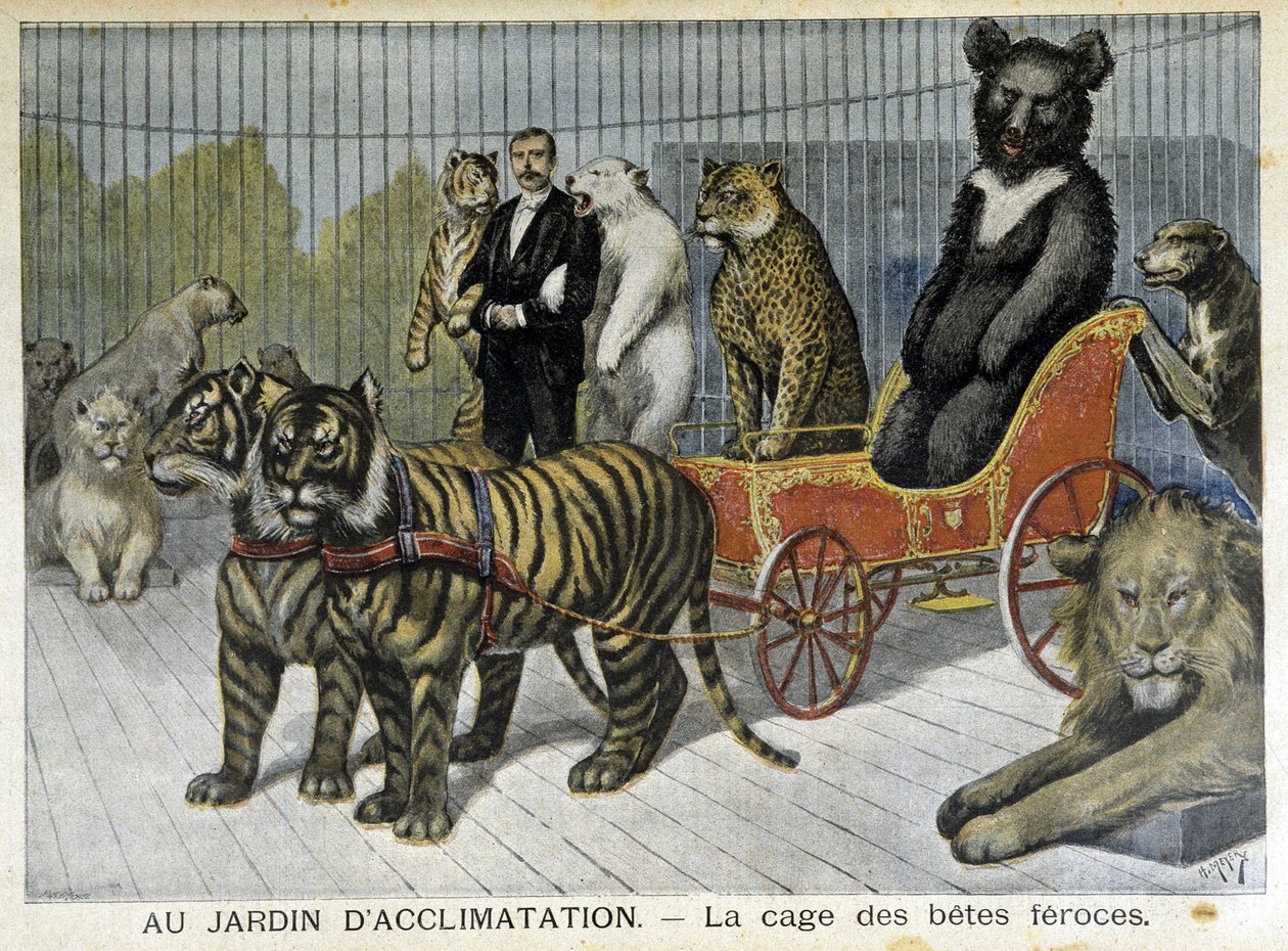 Az akklimatizáció kertjében: vadállatok ketrece - az 1895.02.06-i „” Le Petite Journal”-ban alkotó: Unknown artist