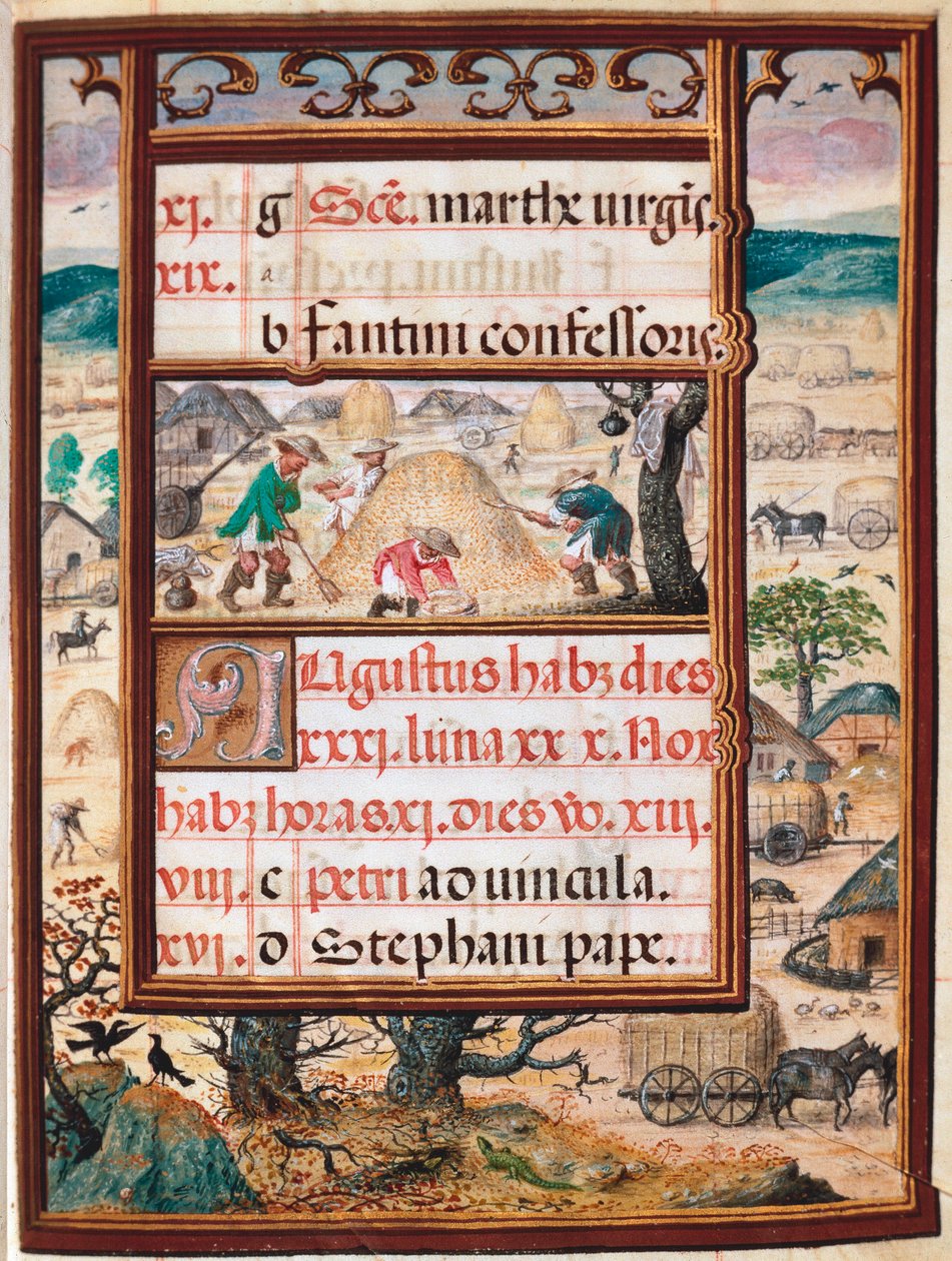 Augusztus. Parasztok munkában. A portugál I. Manuel (1469-1521) „” Book of Hours” kéziratának oldala 1517. Lisszabon, Museo di Arte Antica alkotó: Unknown artist