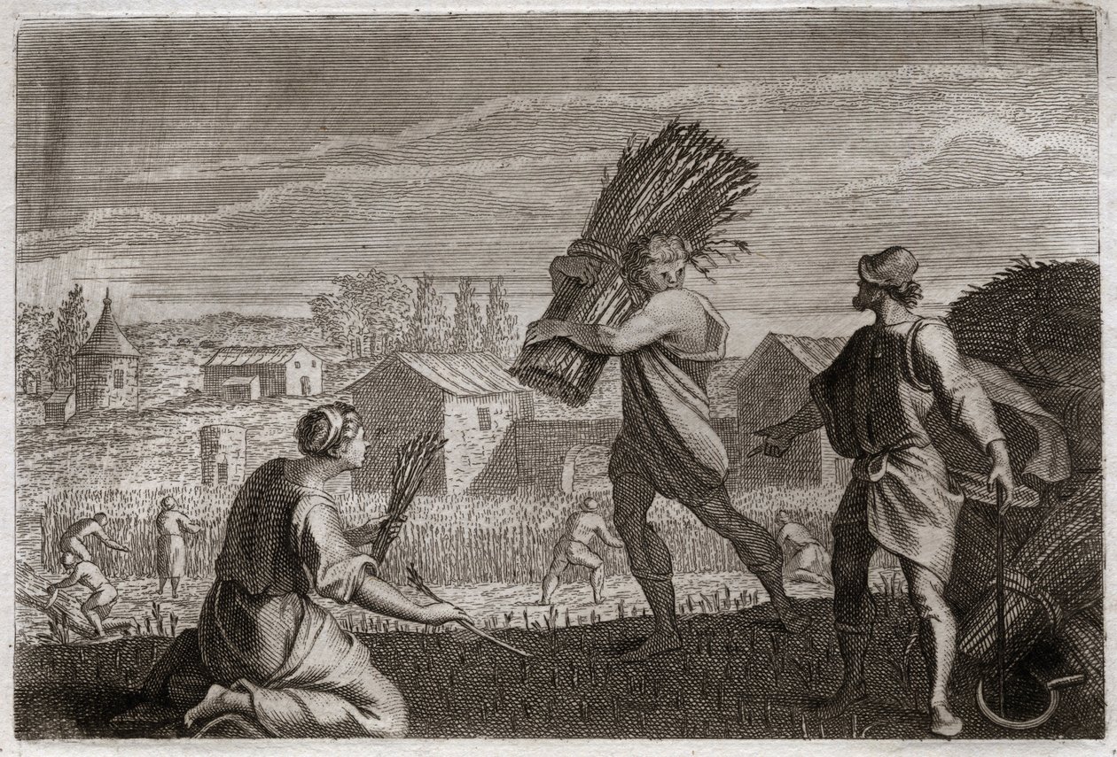 Royaumont Biblia, Ószövetség: Ruth követi anyósát, Noémit (Naomi, Noémi) Júda földjén, és learatja Boáz (Boáz) búzamezőit. Illusztráció 1811-ből. alkotó: Unknown artist