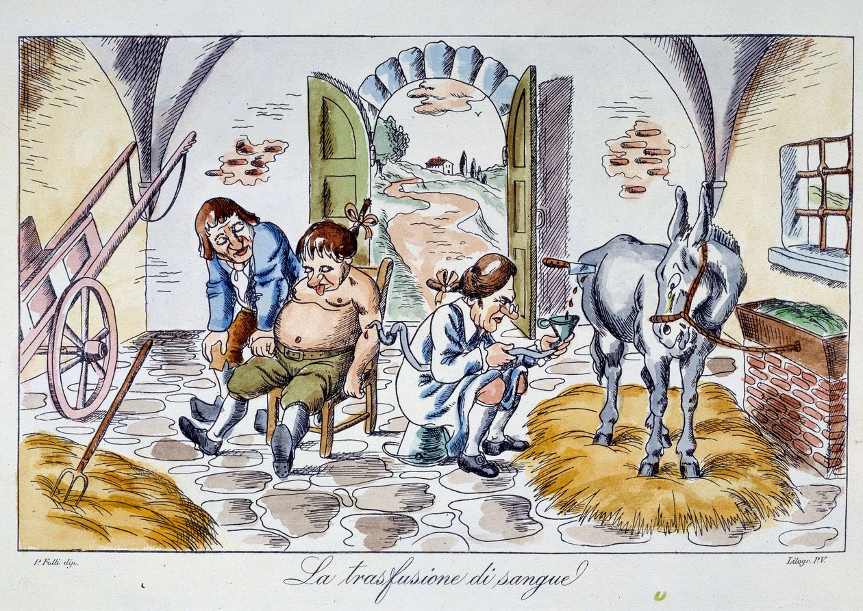 Vérátömlesztés Az orvos lóvért fecskendez a betegbe. Rajzfilm a 19. századi magángyűjteményből alkotó: Unknown artist