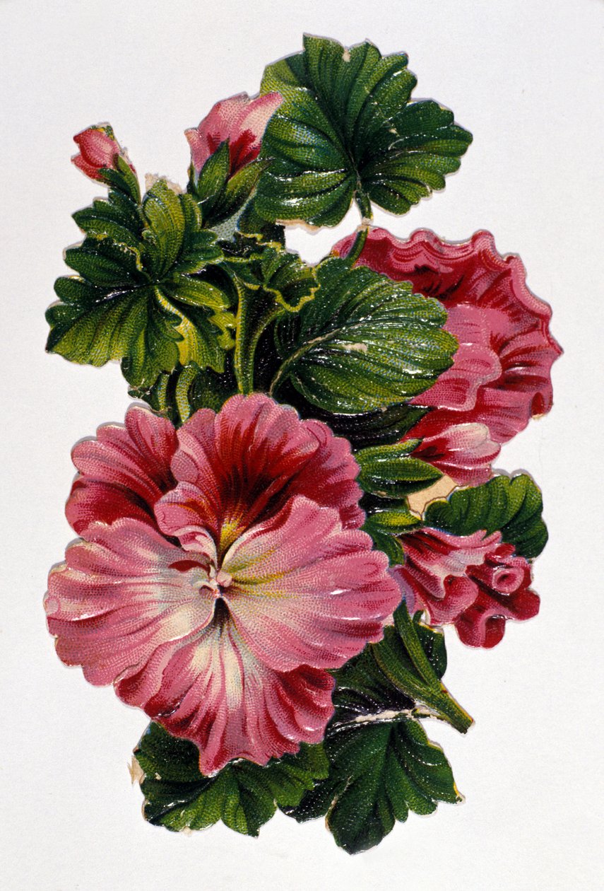 Csokor virág. 19. századi kromolitográfia. alkotó: Unknown artist