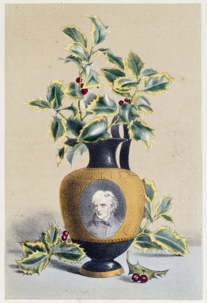 Csokor magyal szimbolizálja a telet - litográfia alkotó: Unknown artist
