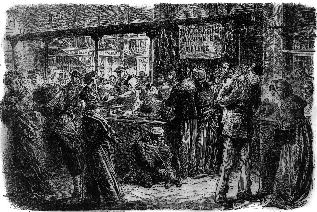 Hentes kutya- és macskaféle Párizsban 1870-ben alkotó: Unknown artist