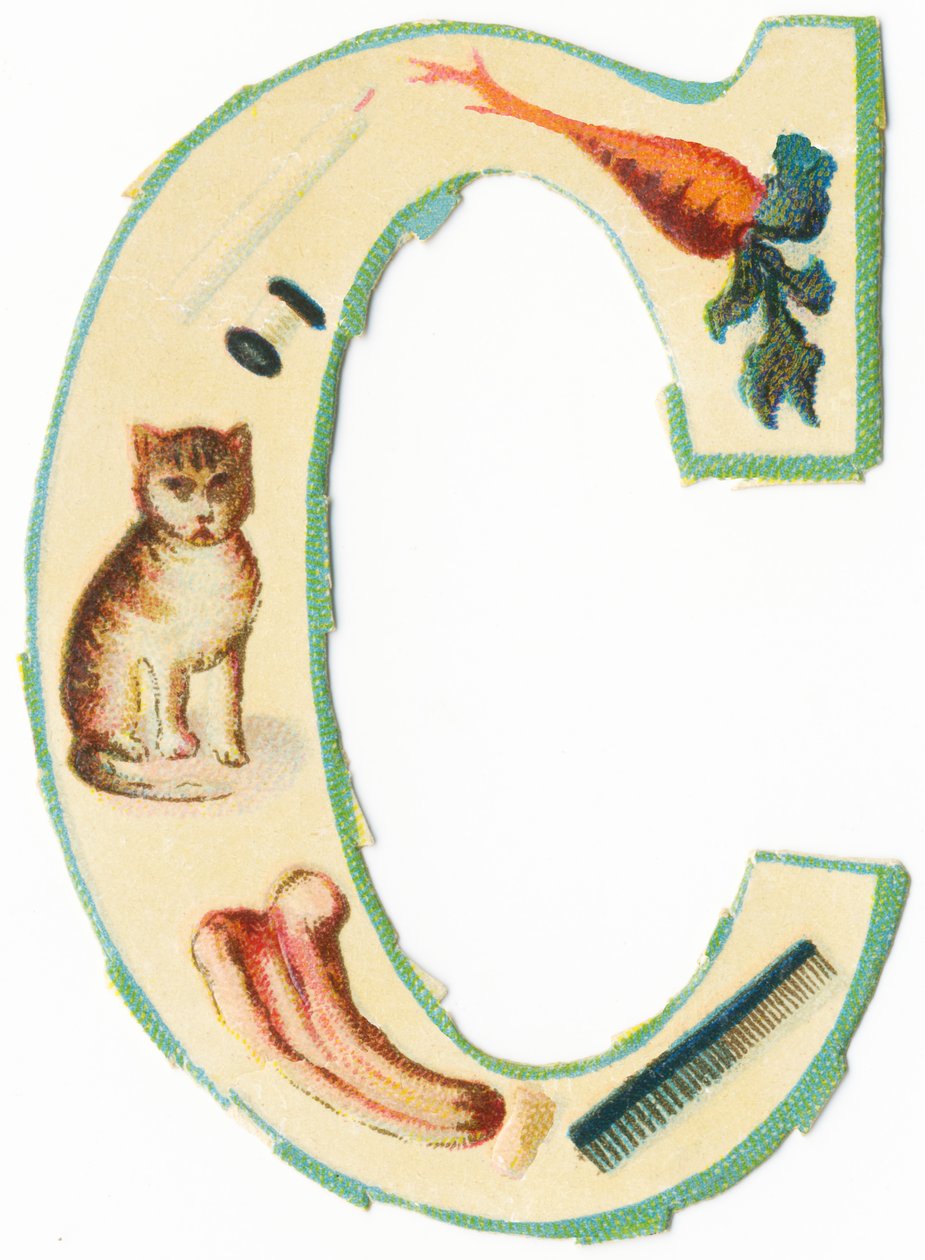 C: korall, sárgarépa, gyertya, pamut, macska, colocynth, fésű (színes litho) alkotó: Unknown artist