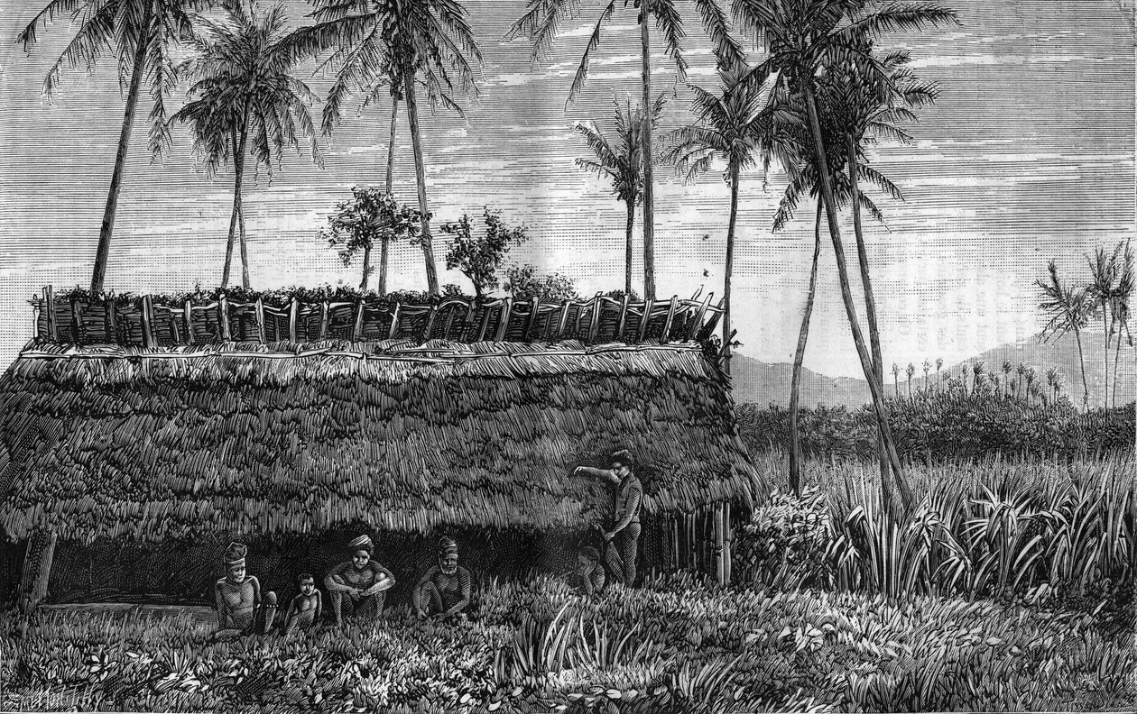 Canaques of New Caledonia (New Caledonia) egy doboz vagy egy gyülekezeti ház előtt. Metszet a "" La Nature"-be alkotó: Unknown artist