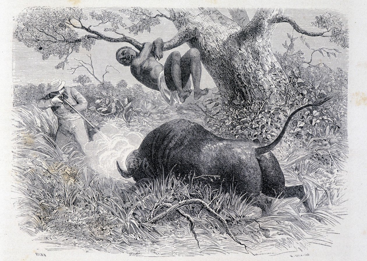 Speke kapitány bivalyra vadászik – a Tour du Monde-ban” alkotó: Unknown artist