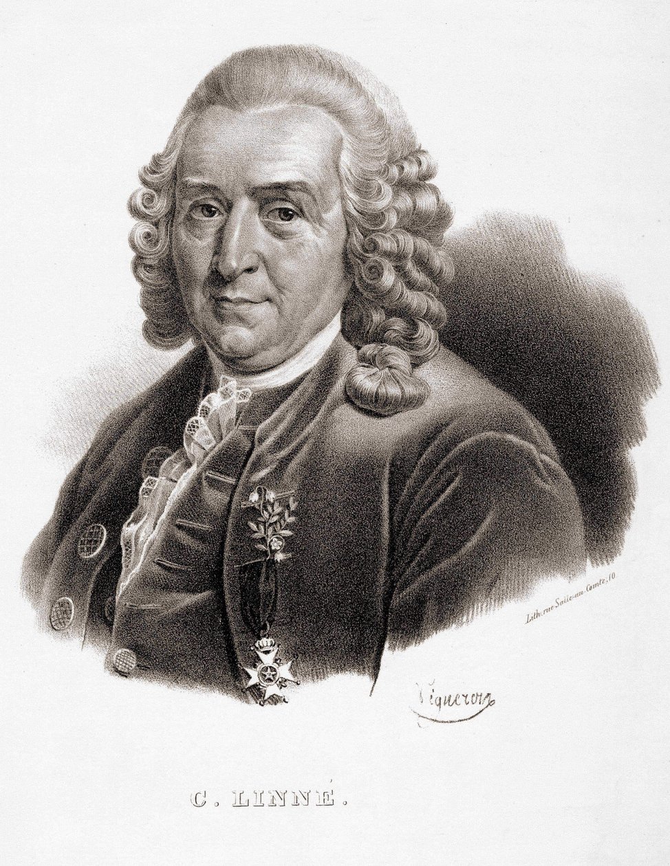 Carl Von Linné svéd természettudós és író (1707-1778). alkotó: Unknown artist