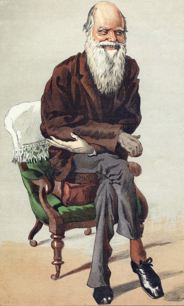Charles Darwin (1809-1882), illusztráció a „Vanity Fair” szeptember 30-án alkotó: Unknown artist