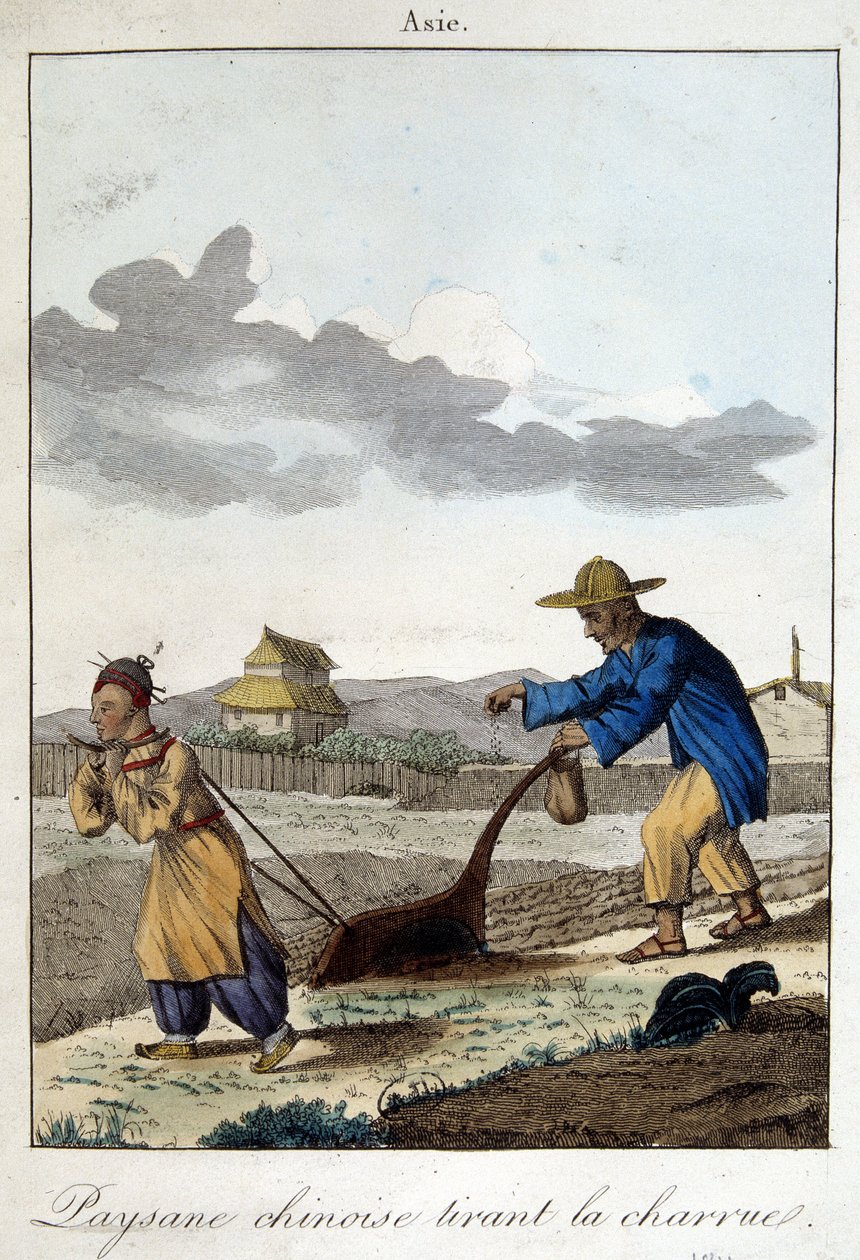 Kínai paraszt húzza az ekét. A „Népek szokásai és szokásai” című kötetben, szerk. Hocquart alkotó: Unknown artist