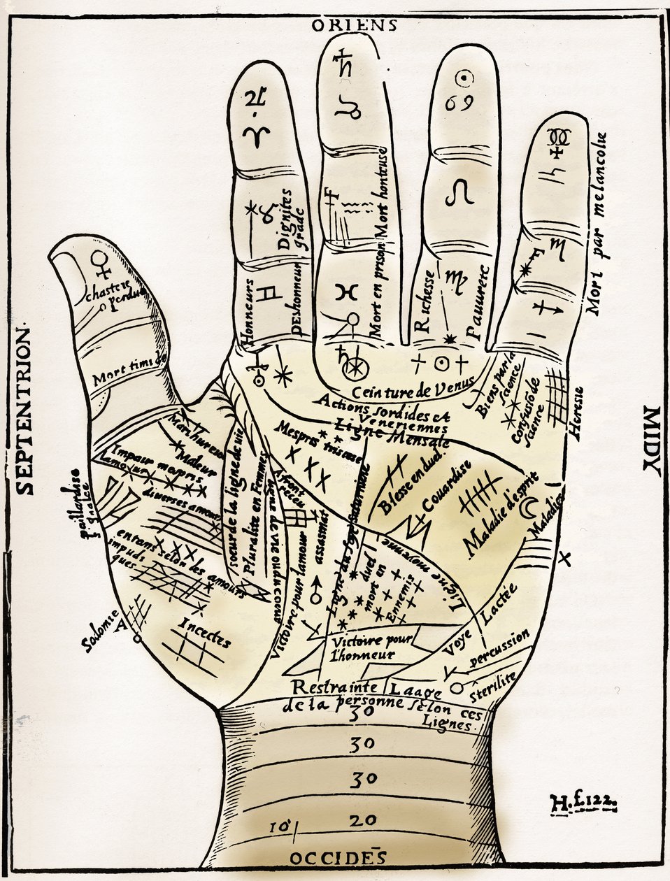 Chiromantia - PALMISTY DIAGRAM - A bal kéz bolygó- és állatövi diagramja - Jean Belot "" Különféle életművei" című fametszet Lyons, Franciaország alkotó: Unknown artist