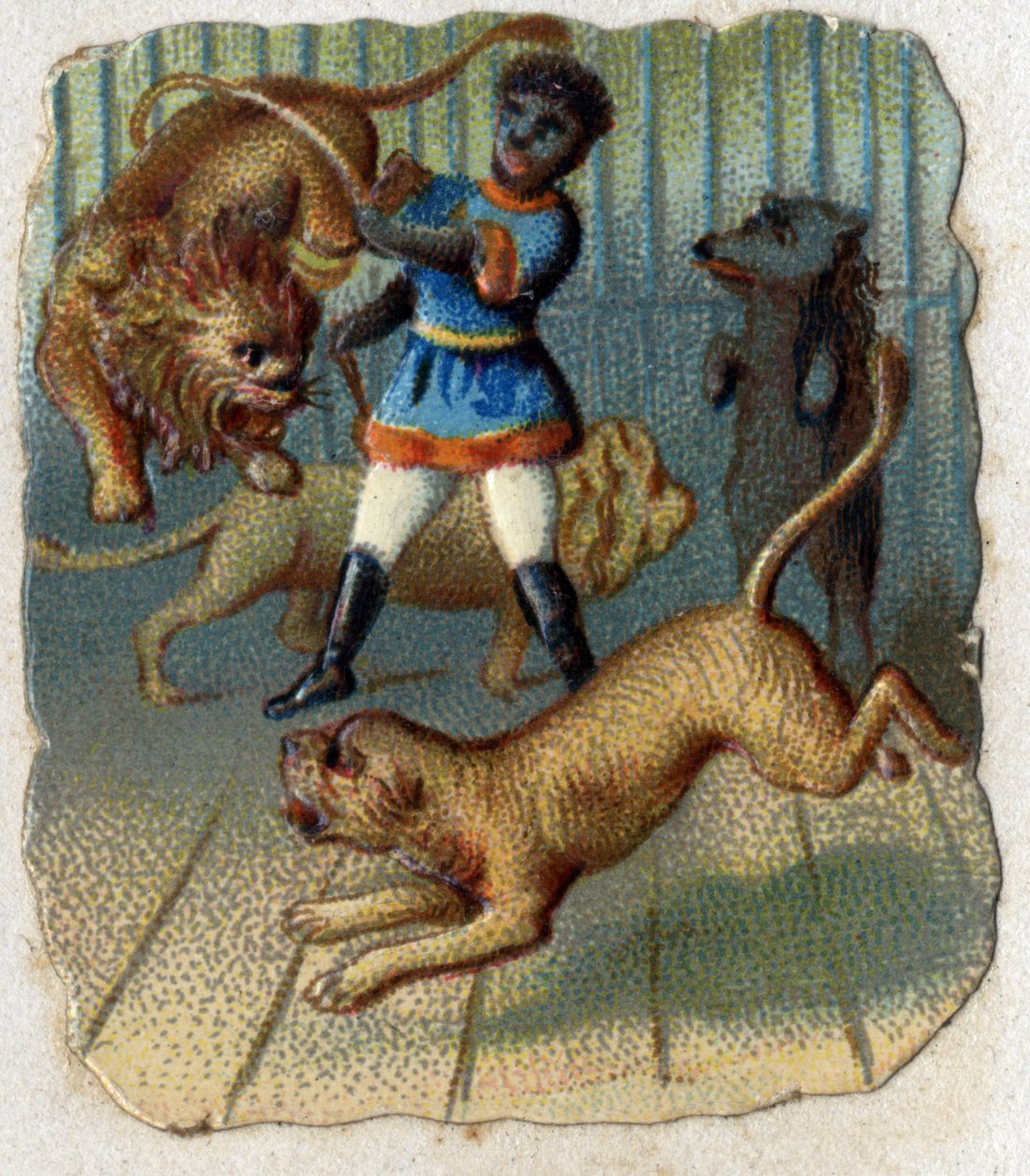 Cirkusz: szelídítő kalitkában vadállatokkal. alkotó: Unknown artist