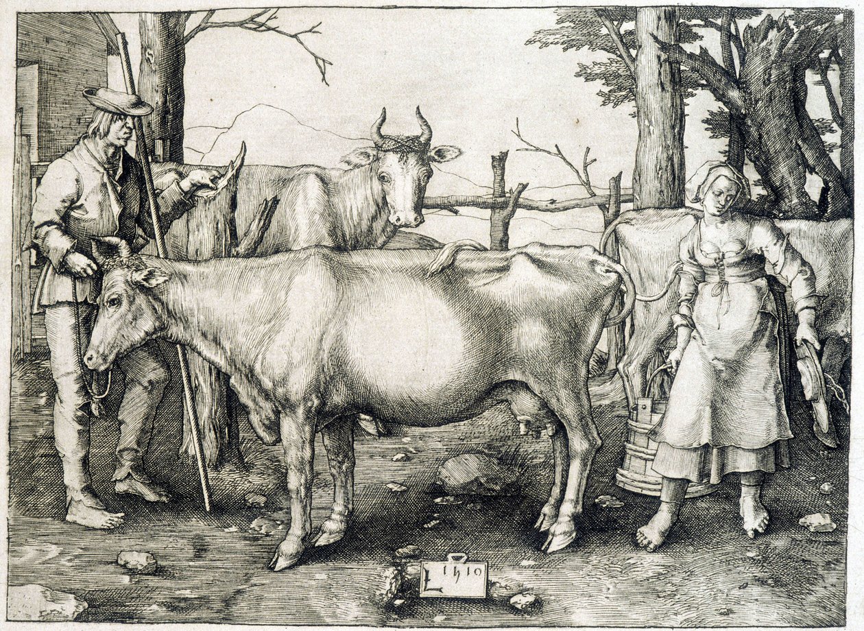 Kábel és tejtermékek Hollandiában alkotó: Unknown artist