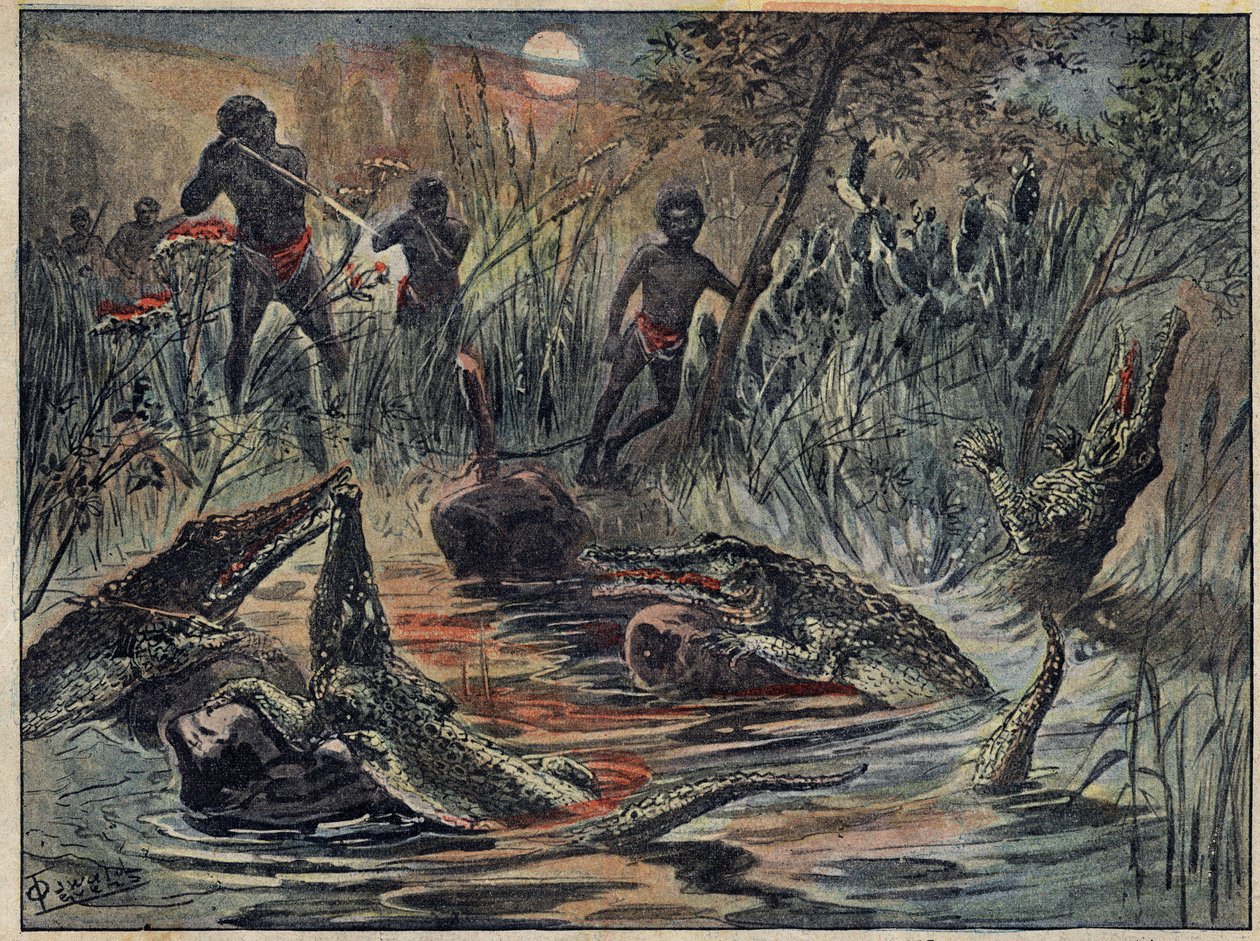 Krokodilvadászat Nigerben egy gyerekkel csaliért. Illusztráció a december 4-i „” Le Pelerin”-ben alkotó: Unknown artist