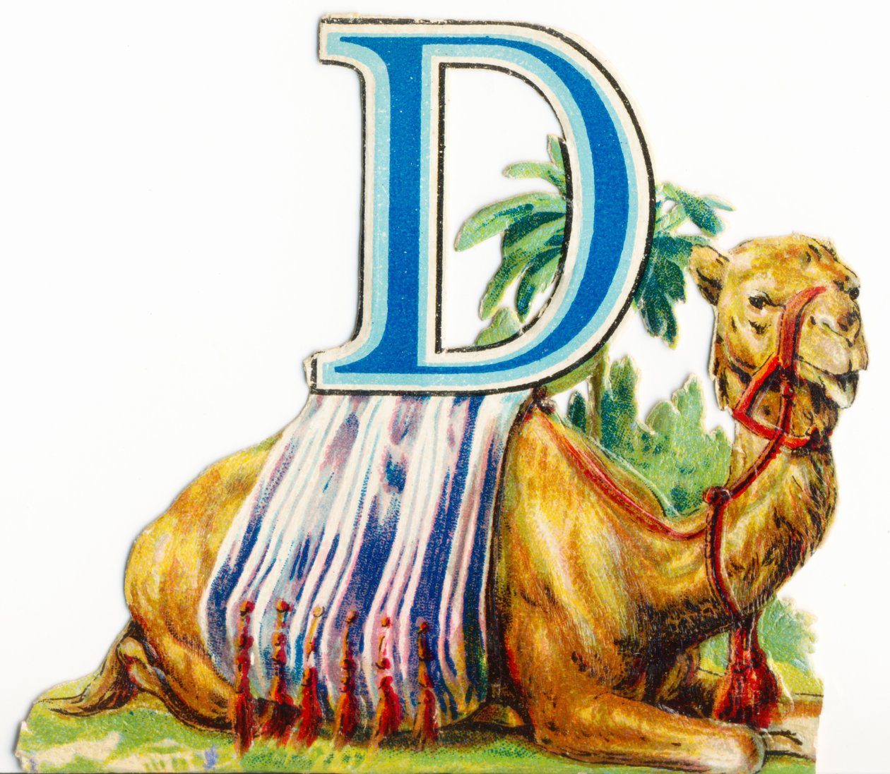 D: Dromedár alkotó: Unknown artist
