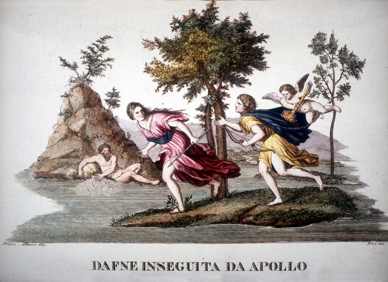 Daphnét Apollon üldözte – a mitológiai szótárban alkotó: Unknown artist