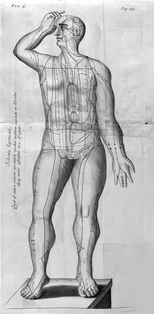De Acupunctura, W.Ten Rhijn. London 1683. Az akupunktúrával foglalkozó első nyugati szöveg. alkotó: Unknown artist