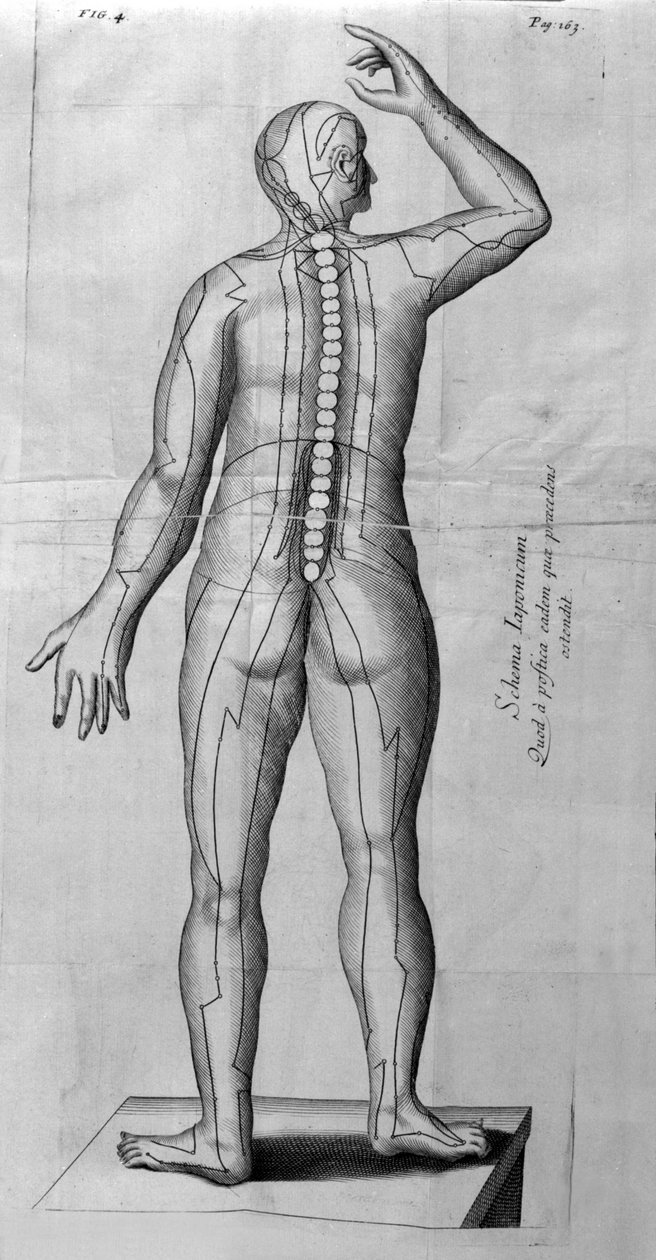 De Acupunctura, W.Ten Rhijn. London 1683. Az akupunktúrával foglalkozó első nyugati szöveg. alkotó: Unknown artist