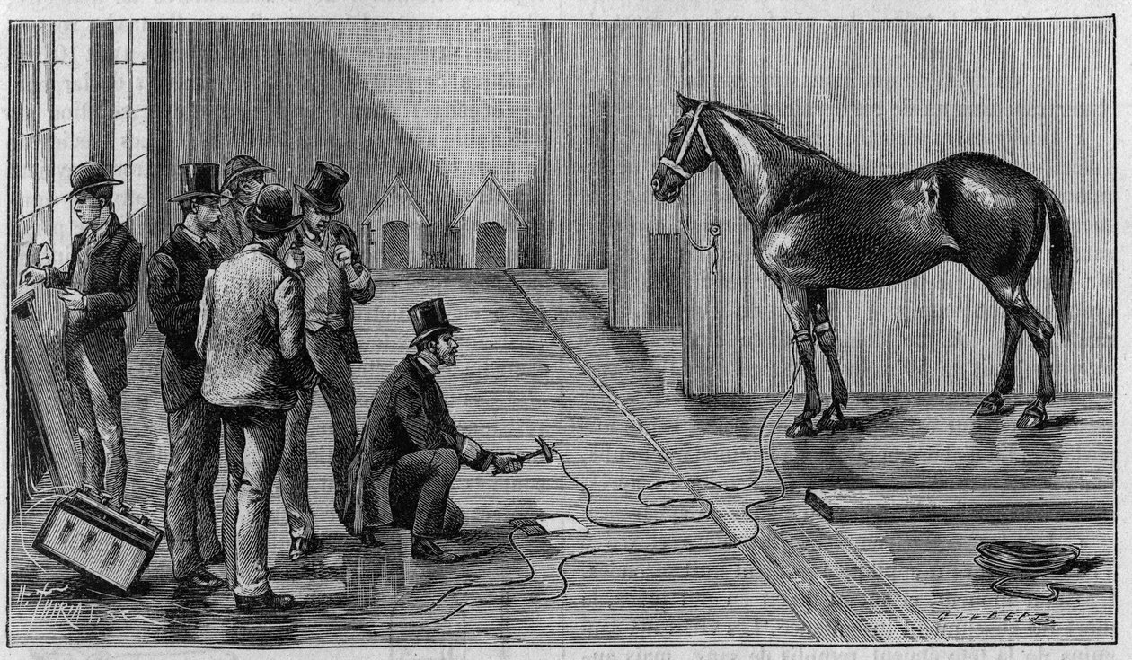 Electricite által okozott halál: egy ló megöl az elektrolit által az Edison, Orange (Egyesült Államok) laboratóriumában végzett kísérlet során. Metszet az 1889. január 19-i „” La Nature: revue des sciences et de leurs applications aux arts et a l