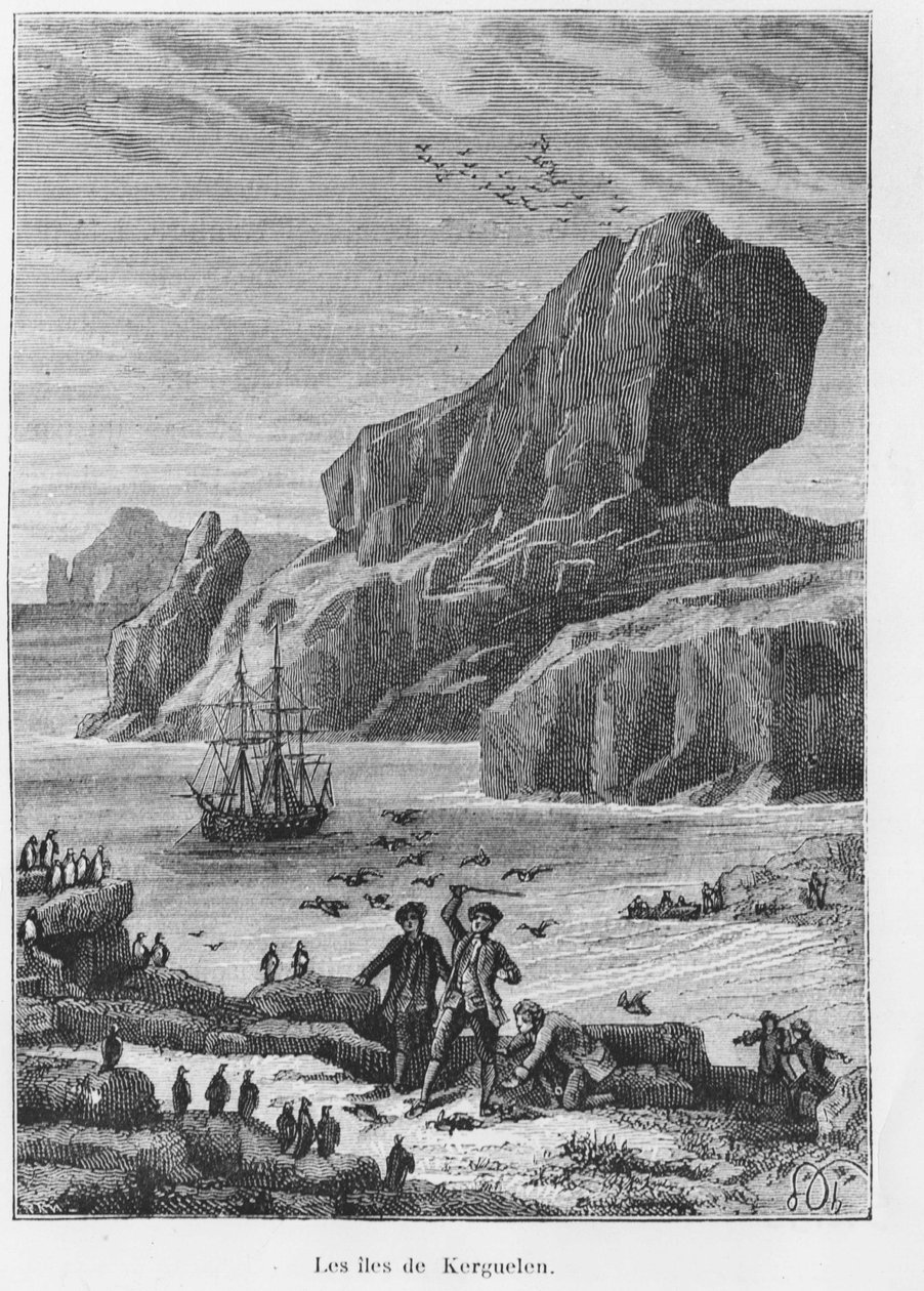 Felfedezések és felfedezések: Kerguelen szigetei – Jules Verne, ed. Hetzel et Cie, Párizs. alkotó: Unknown artist
