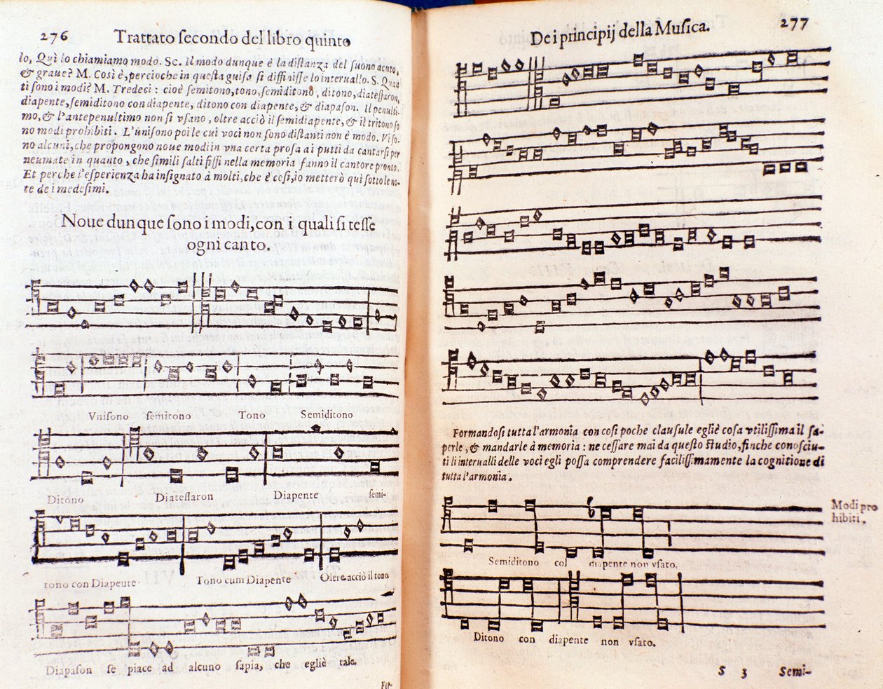 Dupla oldal a The Philosophical Daisy című filmből, Gregor Reisch (1600) alkotó: Unknown artist