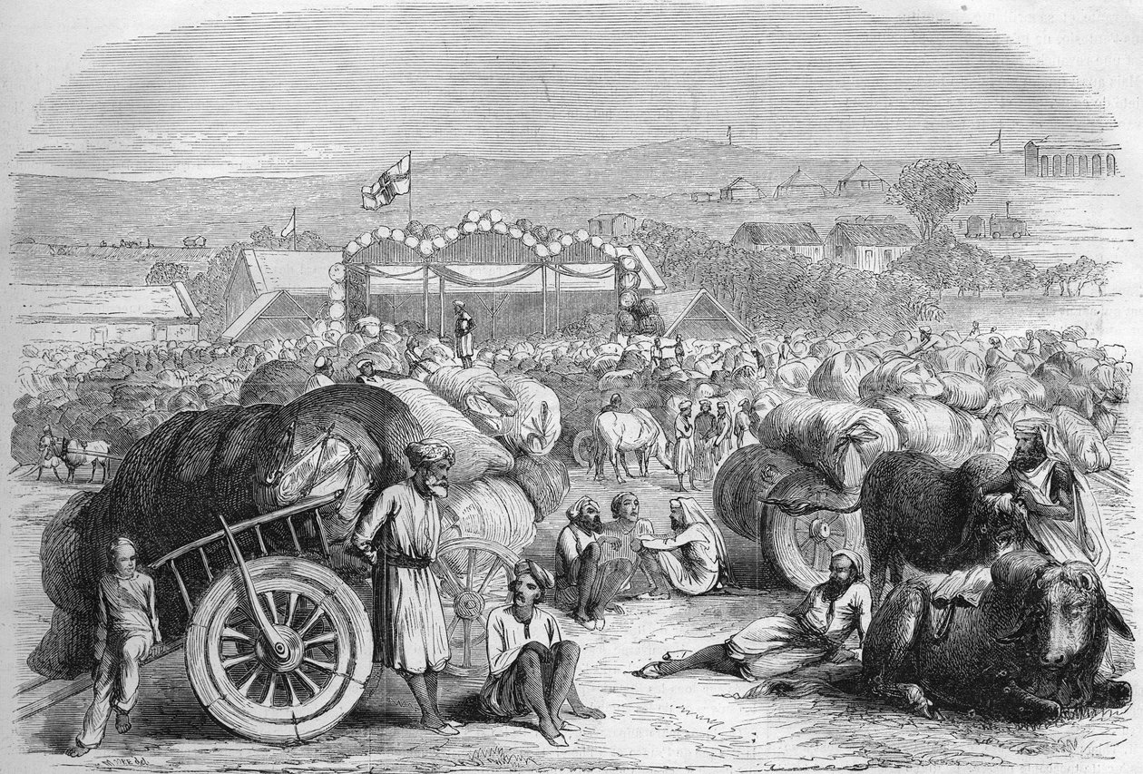 Angol India 1872: Khangaon gyapotpiaca. alkotó: Unknown artist