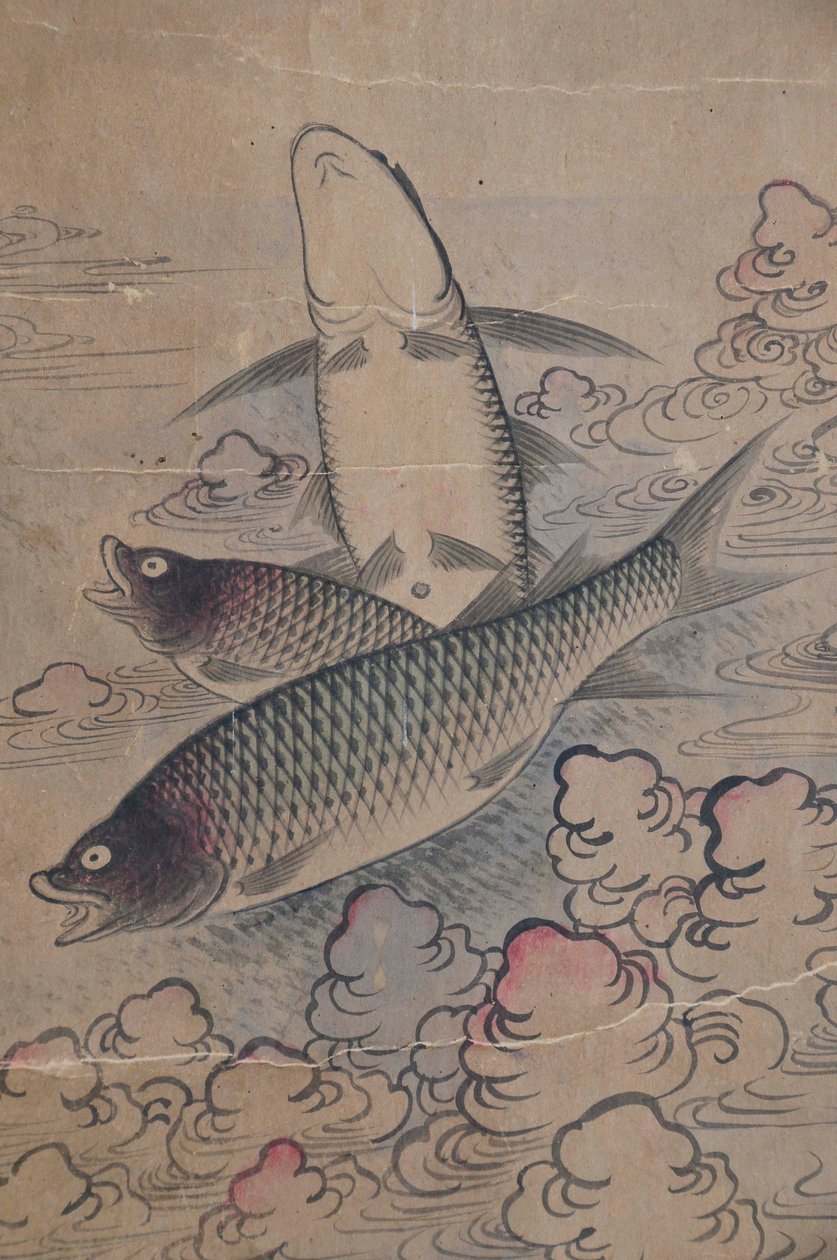 Eohaedo alkotó: Unknown artist