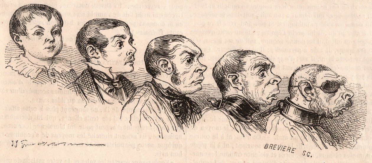 A gyermek evolúciója a felnőttkorba és a felnőtt vadállattá degenerálása alkotó: Unknown