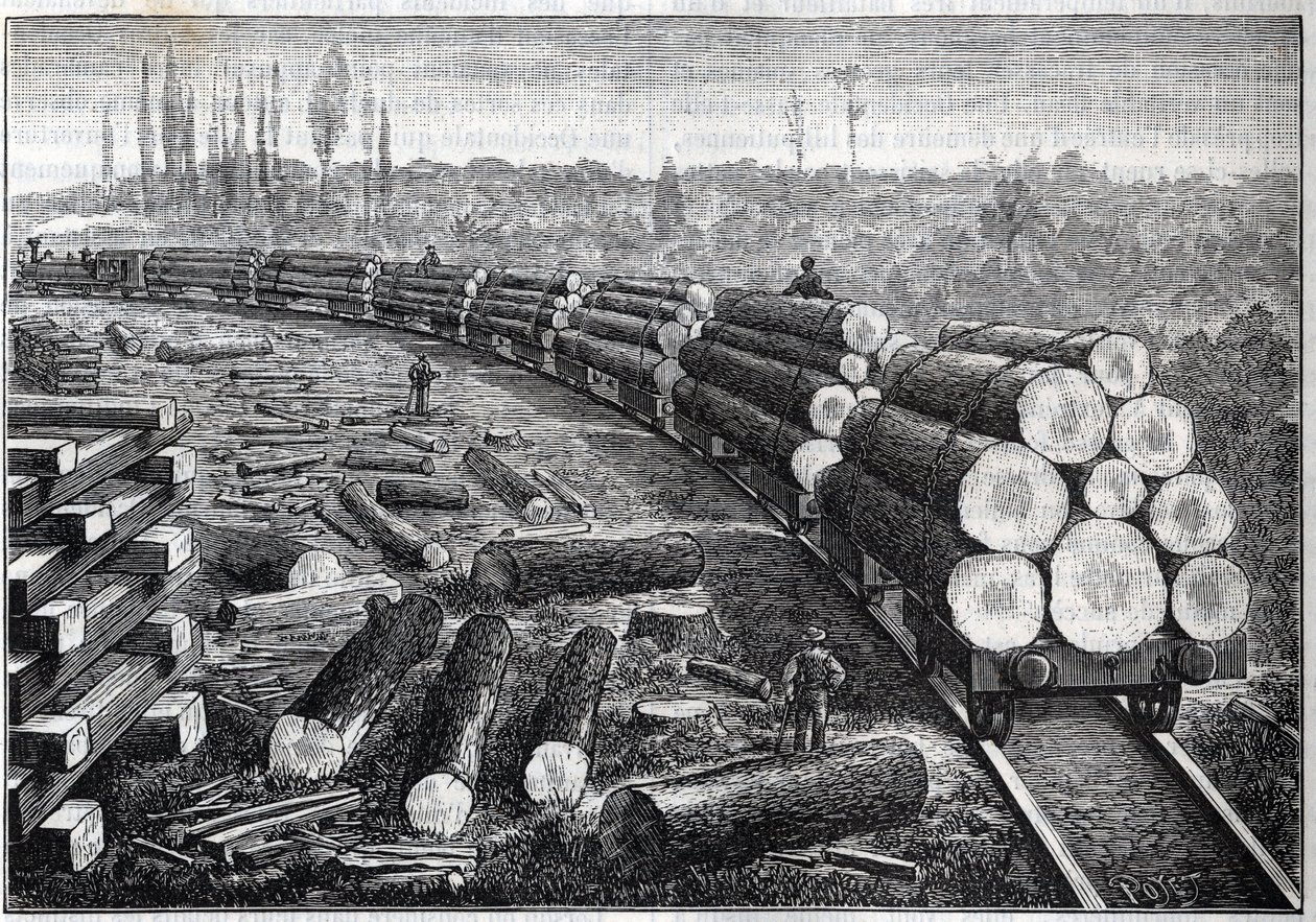 Az Egyesült Államok erdőinek kiaknázása. Ideiglenes vasutak fa pályával. Fatörzseket szállító kocsik. Metszet a "" La Nature"-be alkotó: Unknown artist