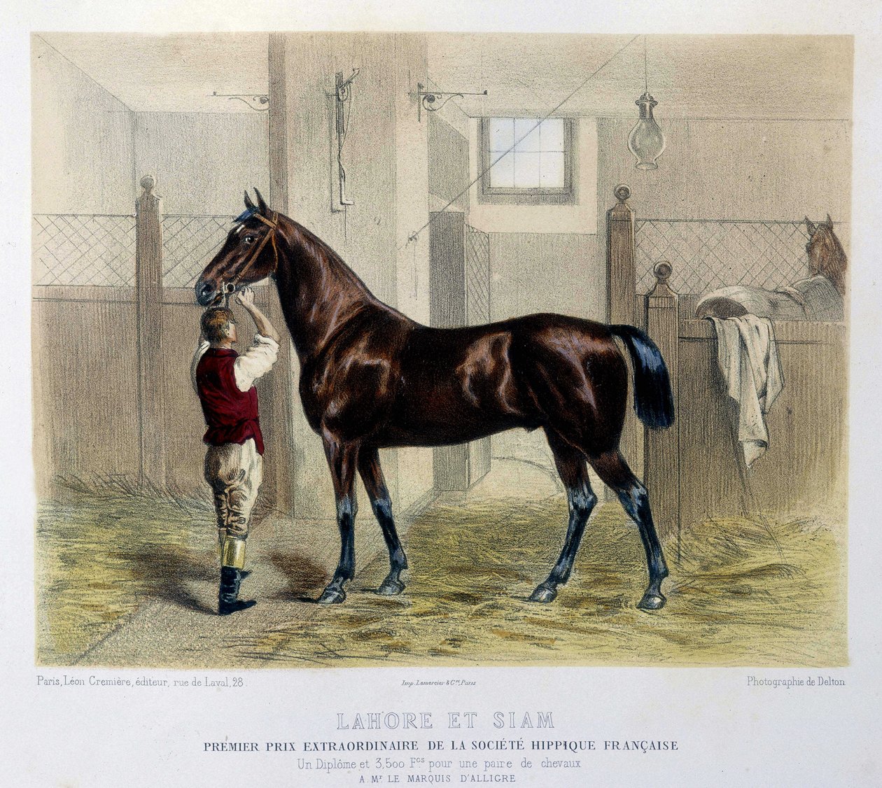 Híres versenylovak „A kentaur” című filmben 1866-ban alkotó: Unknown artist