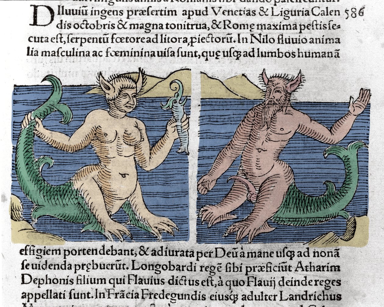 Fantasztikus lények: egy gőte és egy sziréna a Nílusban. Metszet Wolfhart (Conrad Lycosthene) "Le livre des prodiges"-ből (A tékozló gyermekek krónikája és a Basileae jelképei) 1557-ből alkotó: Unknown artist