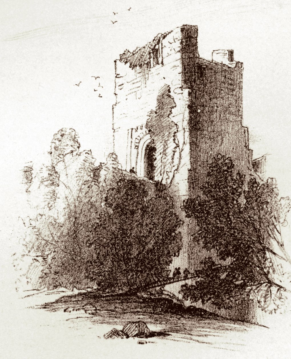 Farnham kastély (metszet) alkotó: Unknown artist
