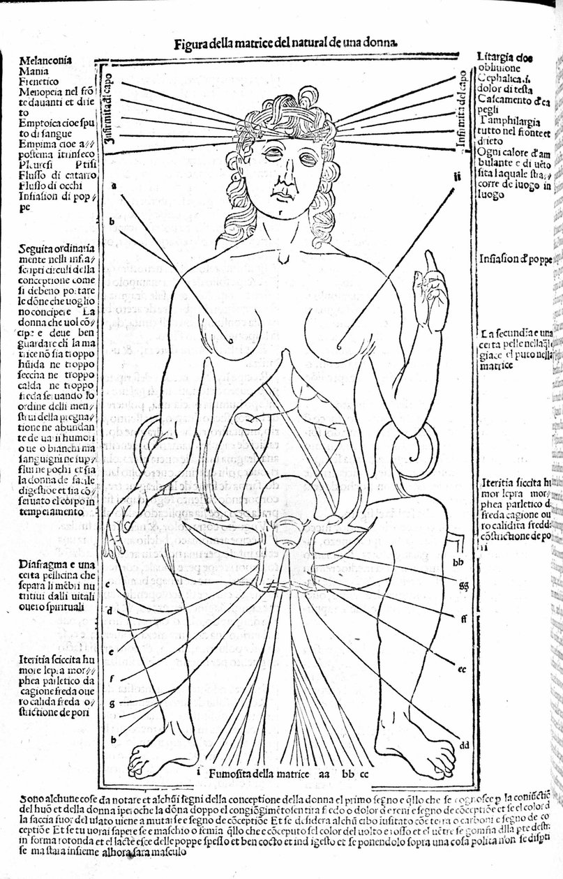 Női reproduktív apparátus – Gerolamo Cardano (Cardano) (Cardanus Hieronymus) orvostudományi traktátusában, Firenze 1585. alkotó: Unknown artist