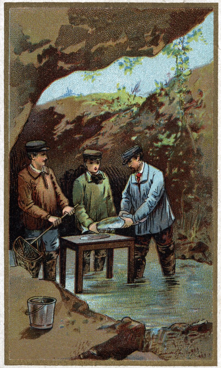 Haltenyésztés: mesterséges fektetés. Kromolitográfia a 19. század végéről alkotó: Unknown artist