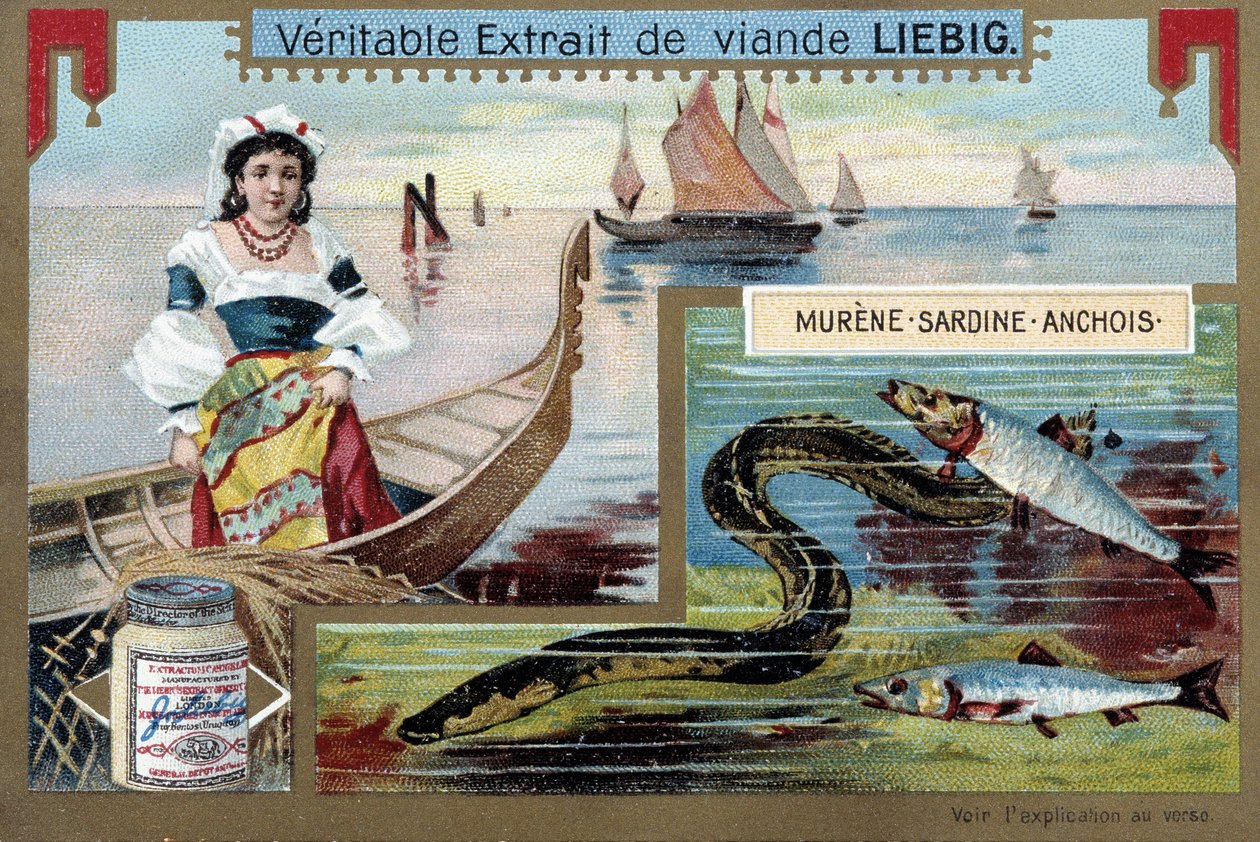 Halászhajók és halak (muréna, szardínia, szardella) - chromo. LIébig, v.1900 alkotó: Unknown artist