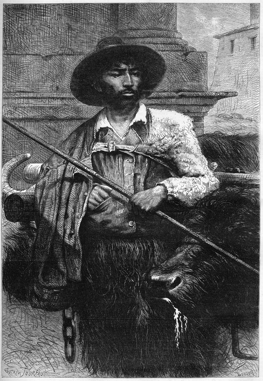 Volt gazdálkodó: bivalyhajtó (mozzarelláért tenyésztett bivaly) Metszet a „” The Illustrous World”-ben” alkotó: Unknown artist