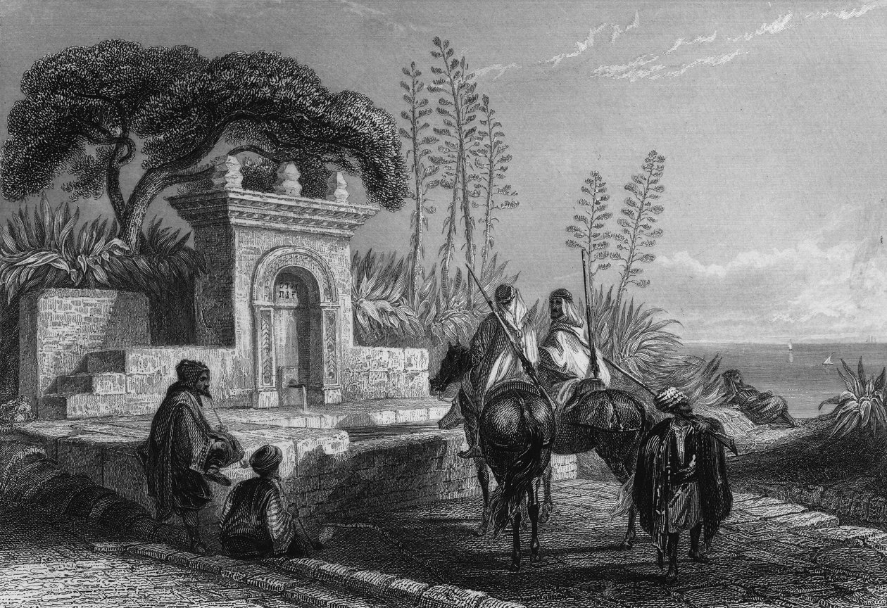 Szökőkút Algír közelében alkotó: Unknown artist