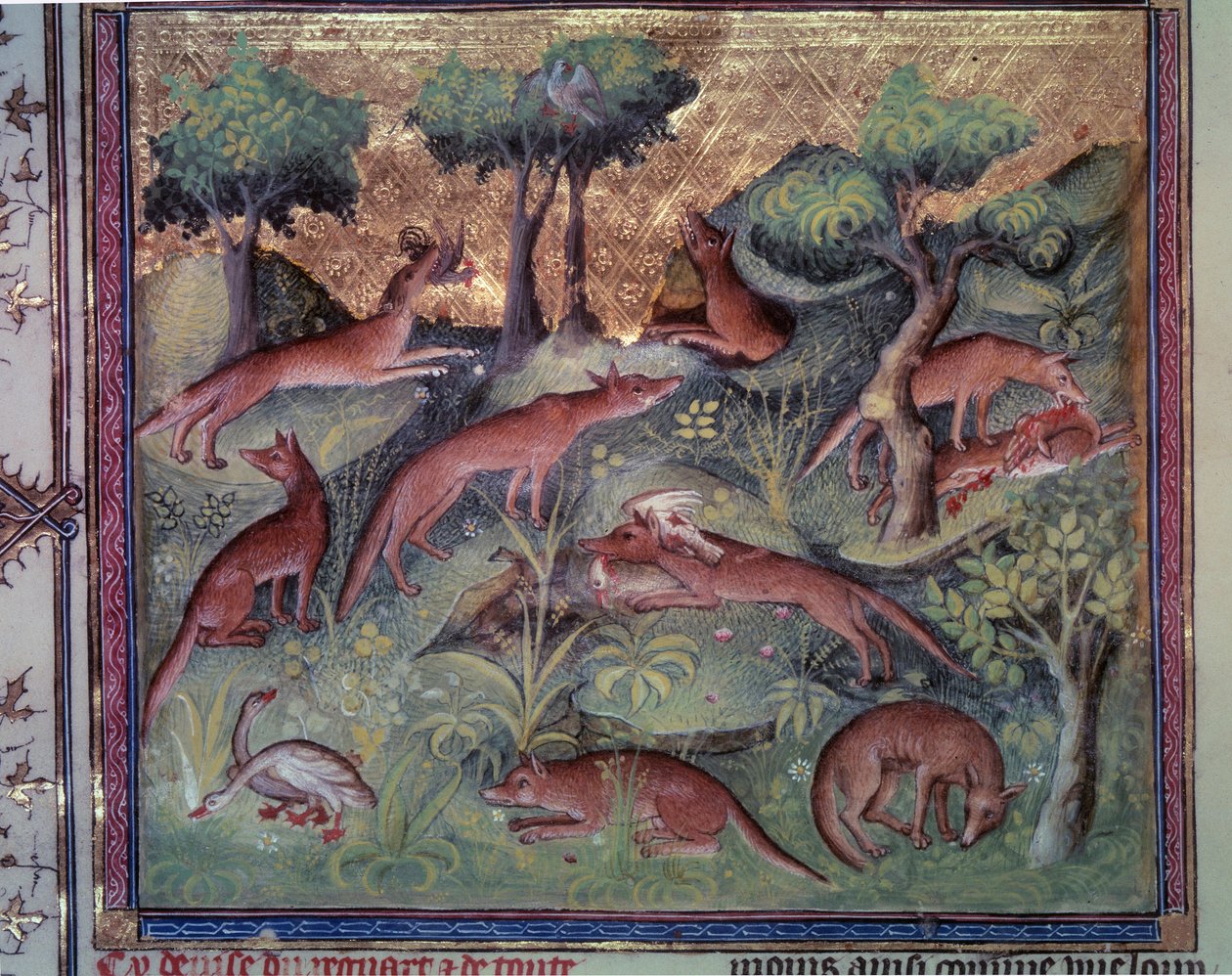 Rókavadász baromfi. Miniatűr Gaston Phoebus (1331-1391) „Le livre de la chasse” (fólió 34v) kéziratából, Gaston III Comte De Foix alkotó: Unknown artist