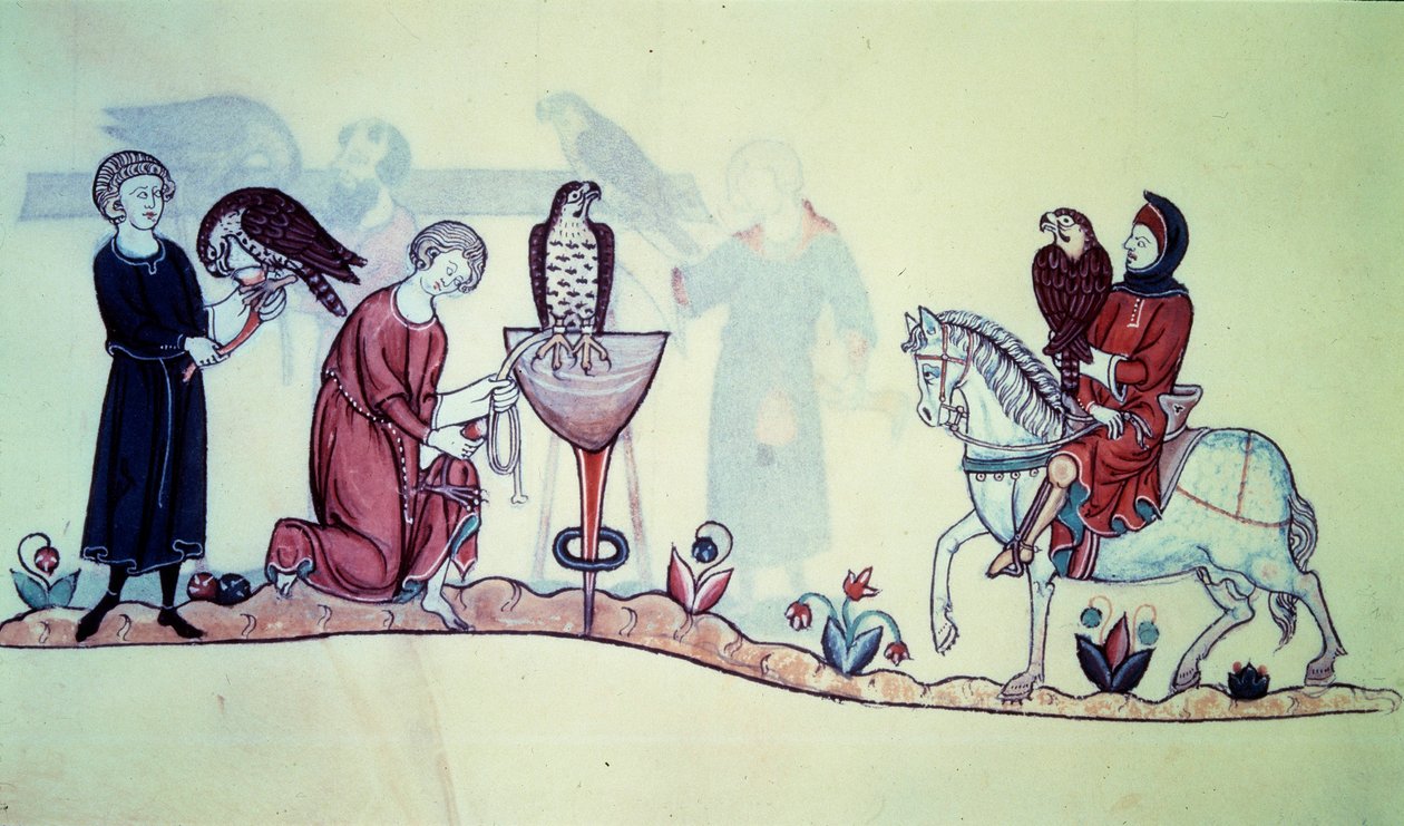 II. Frigyes (1194-1250) német császár 1212-ben. A miniatűr egy 13. századi solymászatból származik. Párizs. B N alkotó: Unknown artist