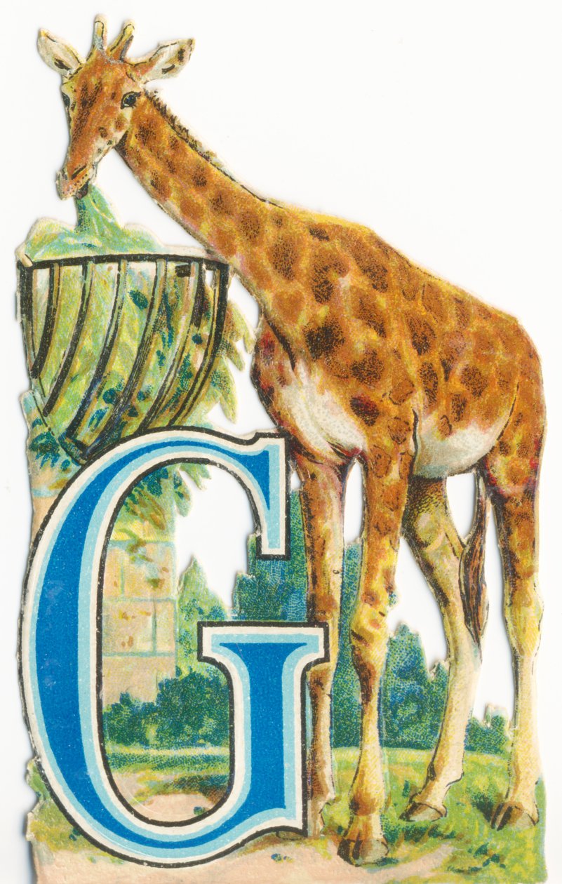 G: Zsiráf alkotó: Unknown artist