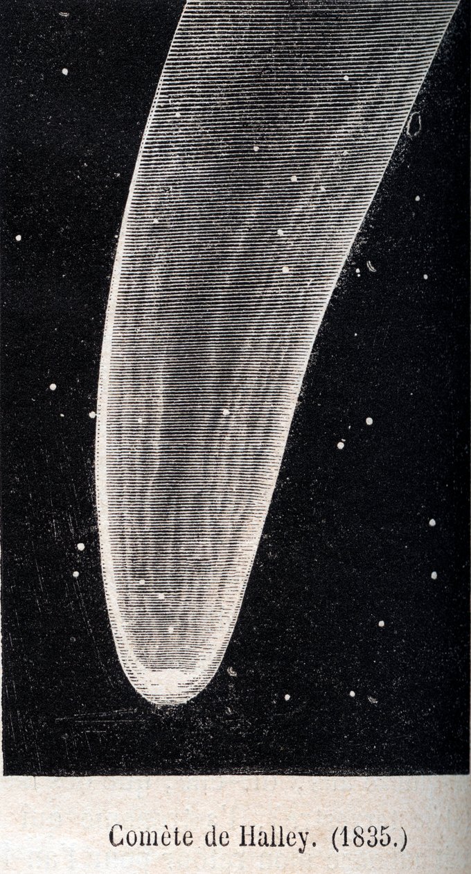 Halley-üstökös 1835 – metszet 1867 körül alkotó: Unknown artist