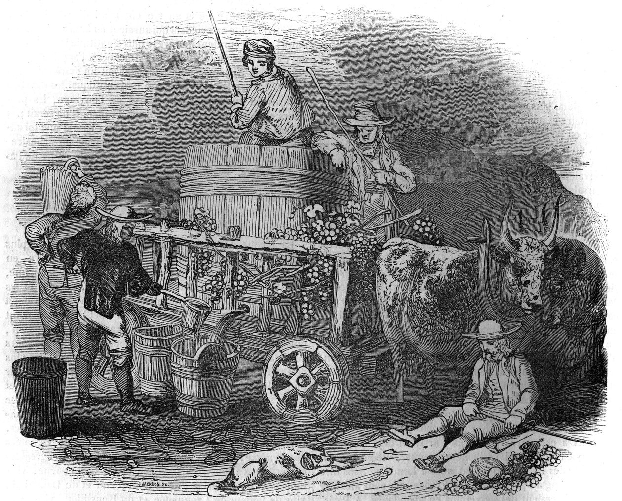 Harvester a horvátországi Polában (Pula) (Isztria) a XIX. alkotó: Unknown artist