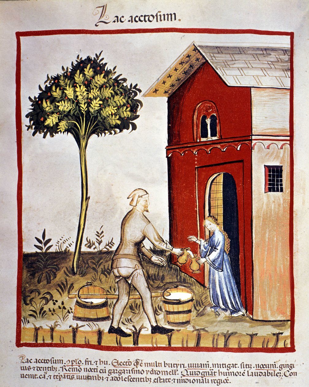 Tejtermékek története: joghurt forgalmazása (acetosium lake). Megvilágítás a „Tacuinum sanitatis”-ból alkotó: Unknown artist