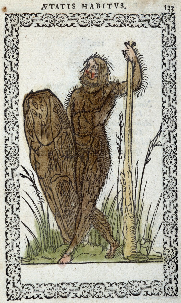 Homme sauvage – Jean Sluperius „Habits et effigies” című könyvében alkotó: Unknown artist