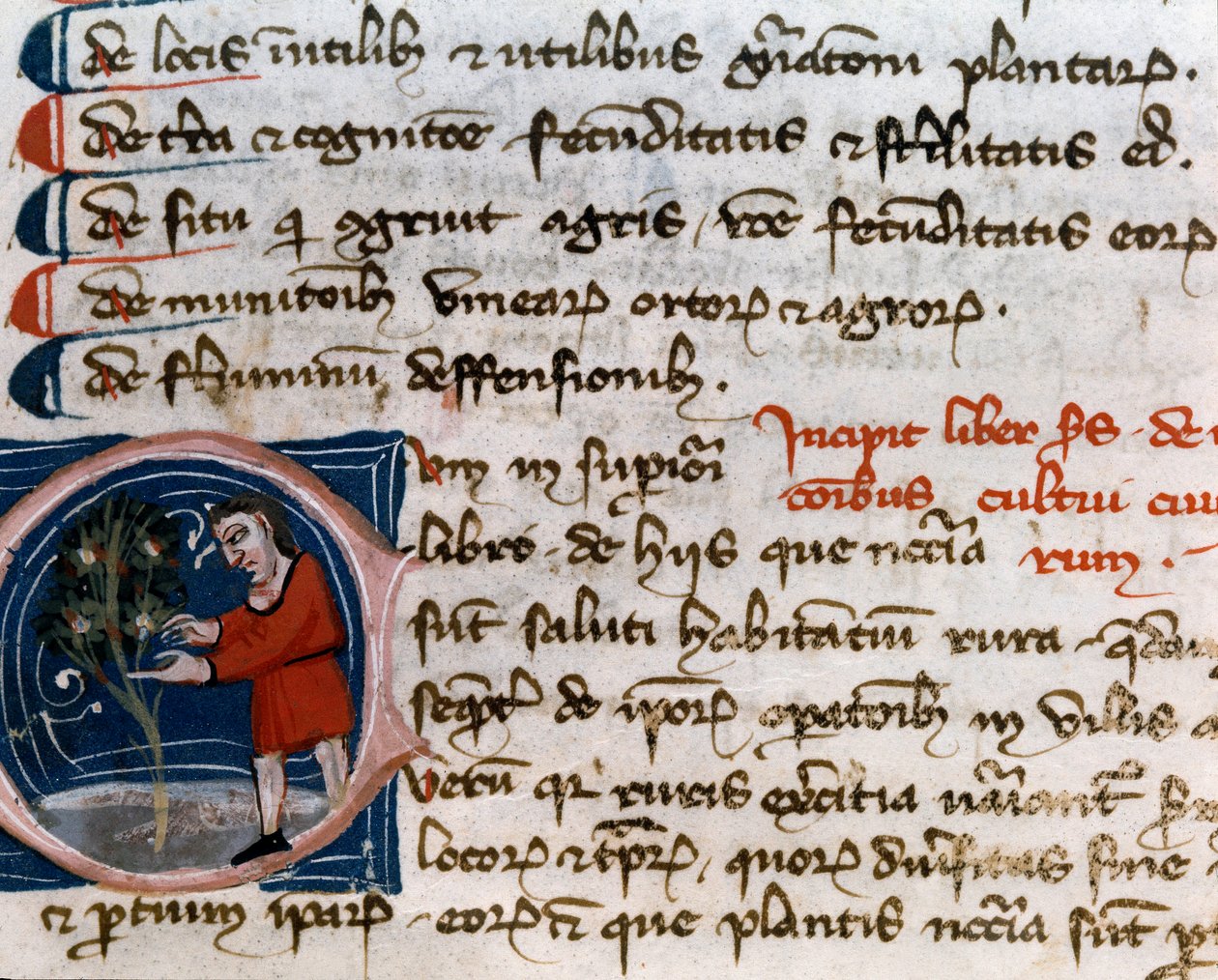 Kertészet: gyümölcs betakarítás. Részlet. Kéziratos oldal (MS.s.vi) Pietro de Crescenzi "" Agrárcsemege "" (Crescent Stone vagy Crescens Stone) (1233-1320) 14. századi Cesena, Biblioteca Malatestiana alkotó: Unknown artist