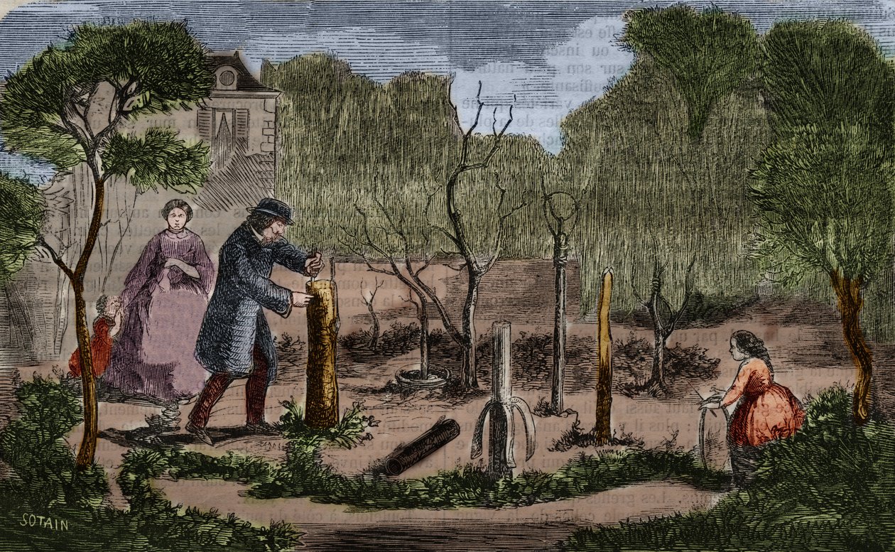 Kertészet: a növényátültetés főbb módszerei. 1860-as metszet. alkotó: Unknown artist