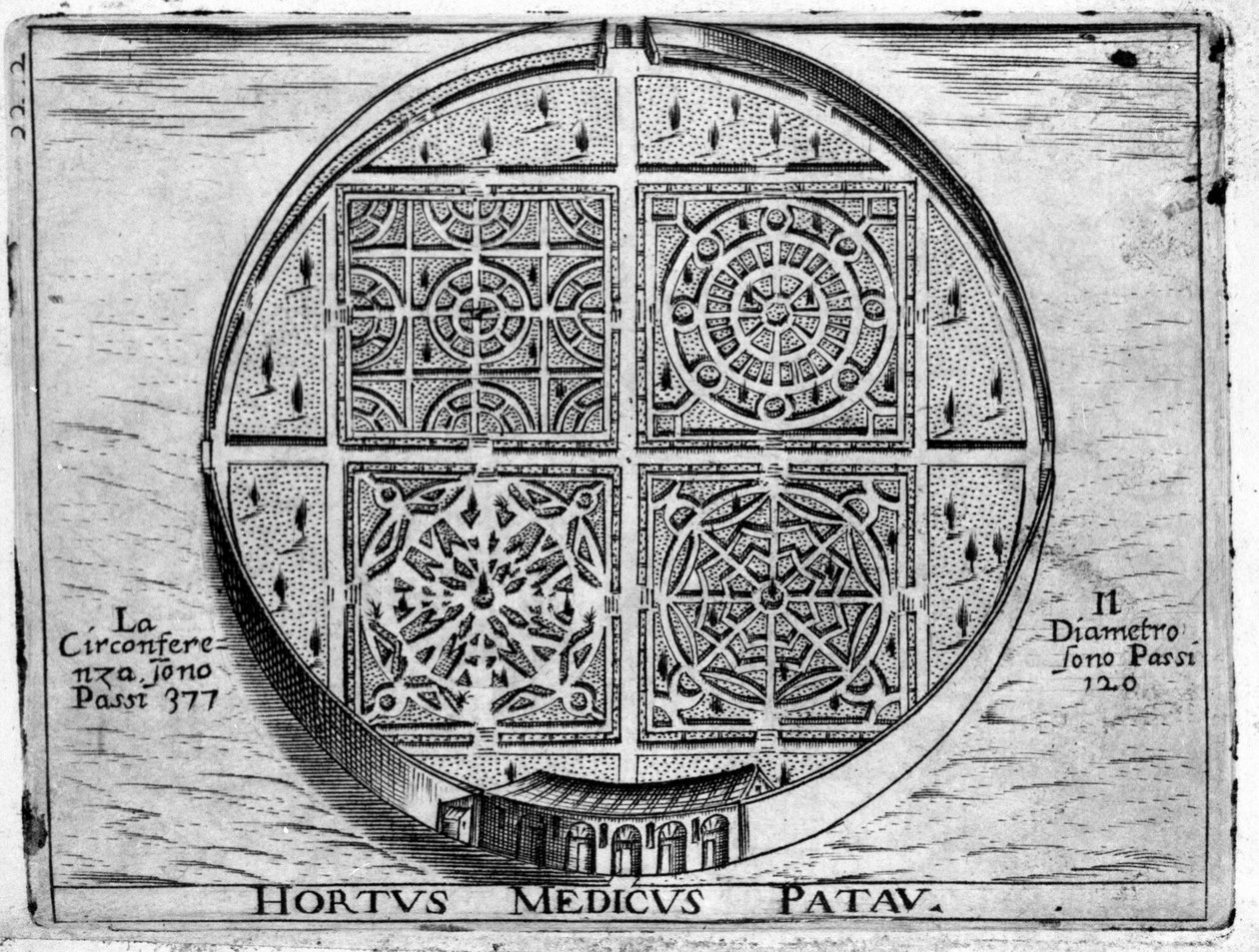 Páduai kert: Páduai Orvosi Kert. alkotó: Unknown artist