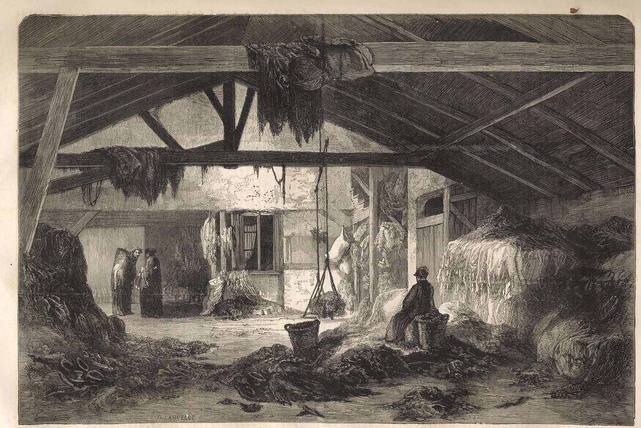 Egy rongykereskedő lakása a rue de la Montagne Sainte Genevieve-en Párizsban, az 5. kerületben. 1861-es metszet alkotó: Unknown artist