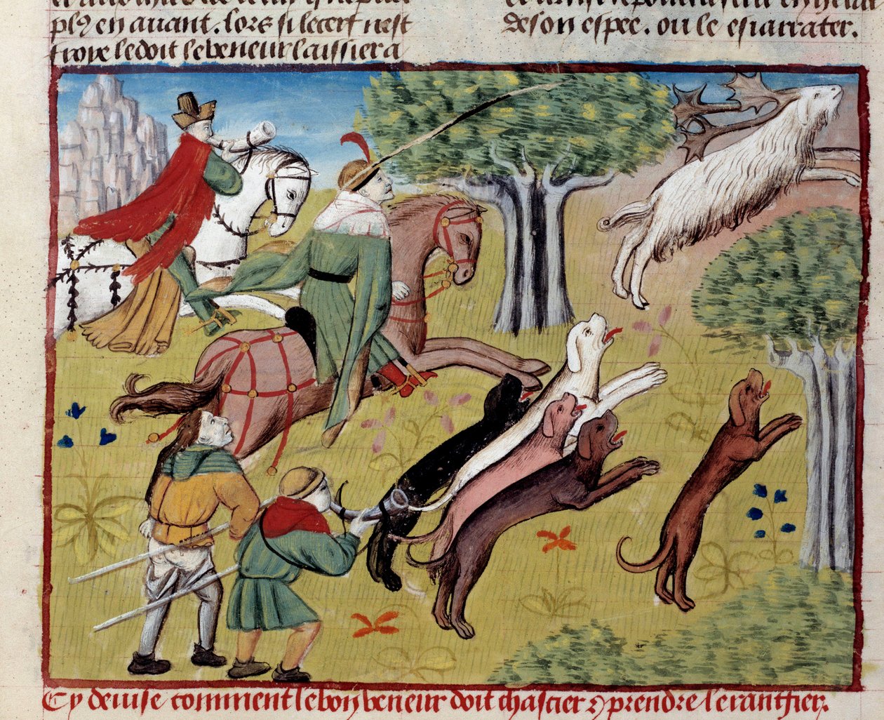 Gaston III Phoebus, Foix grófja, Bearn ura (1331-1391) „A vadászat könyvéből: Hogyan vadászjunk a miniszarvasra” alkotó: Unknown artist