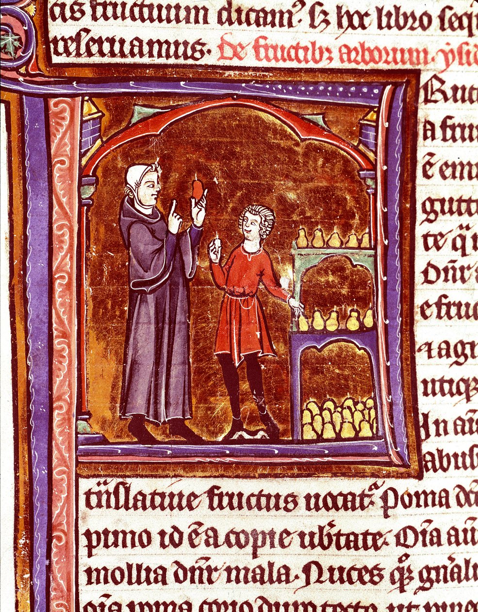 A körte tárolása Miniatűr a „Speculum historiale” kéziratból (Le Mirror historial), Vincent de Beauvais (1184/94-1264) 13. századi Laon, városi könyvtár alkotó: Unknown artist